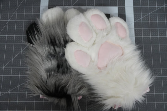 Black and Gray & White Paws